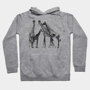 Giraffe - Family on Safari in Kenya / Africa Hoodie